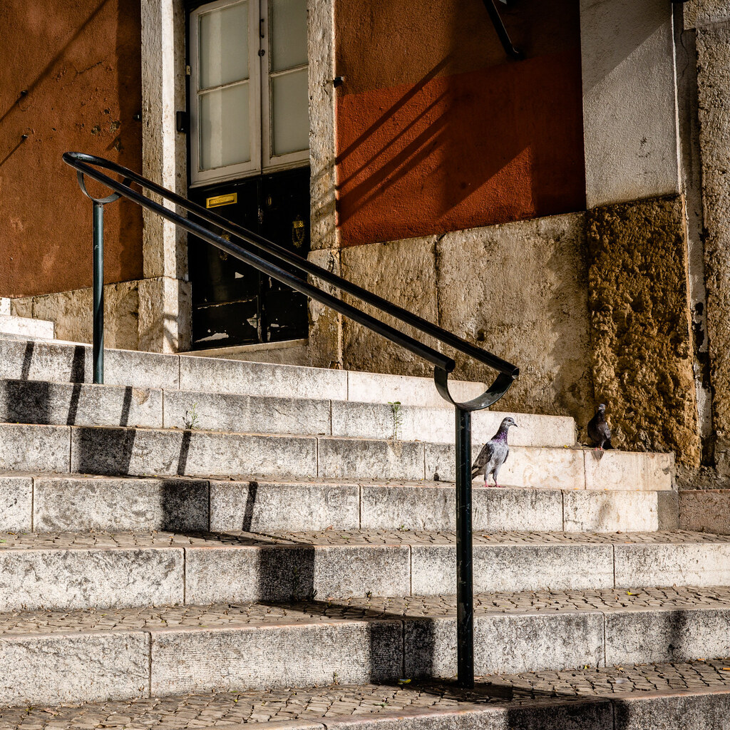 Photo of hand rails