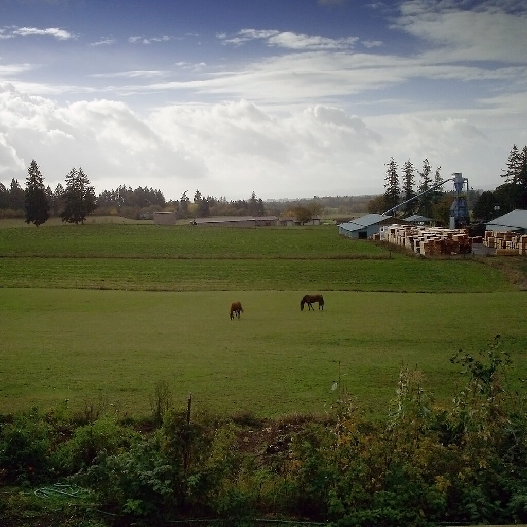 Photo of a ranch
