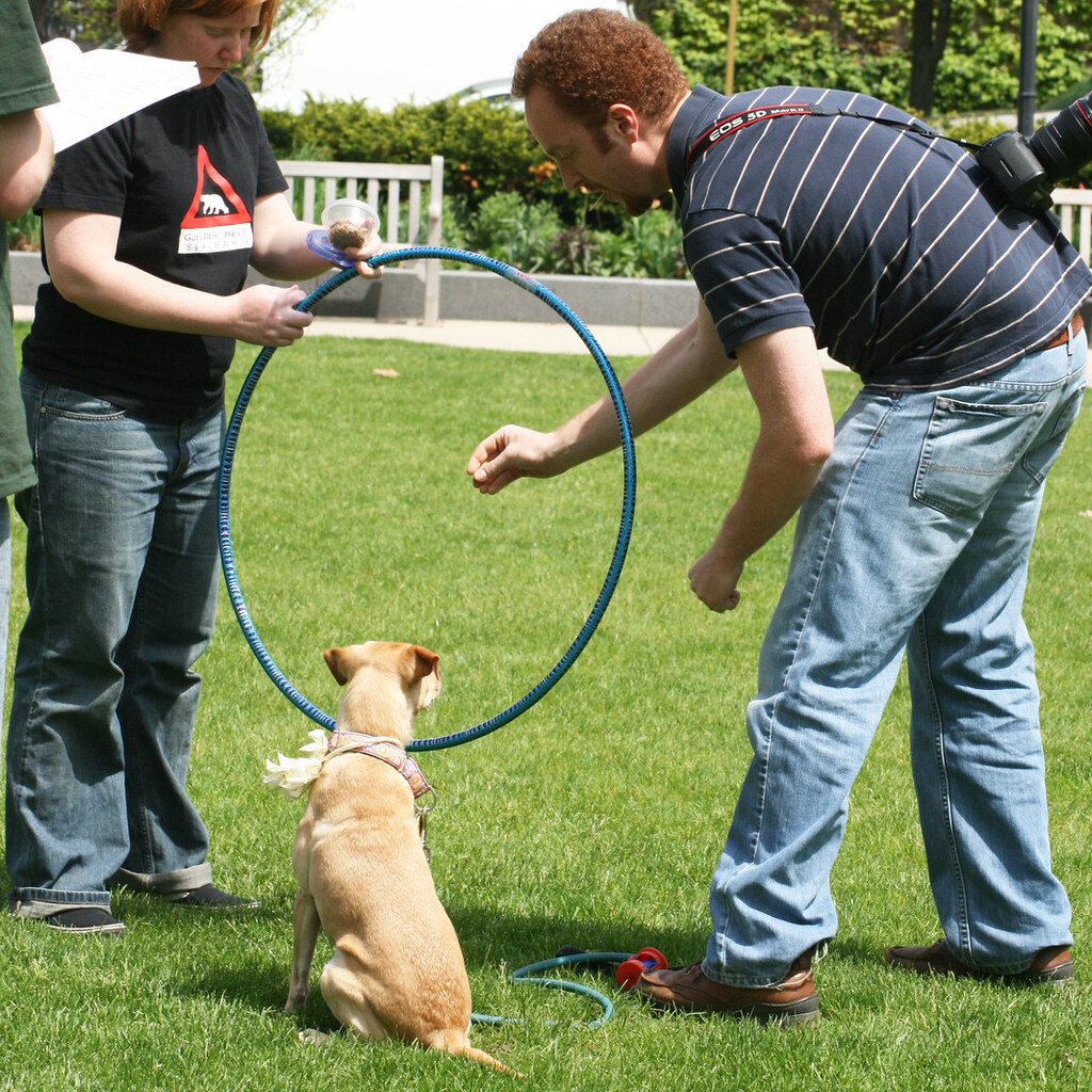 Photo of a dog being offered a reward