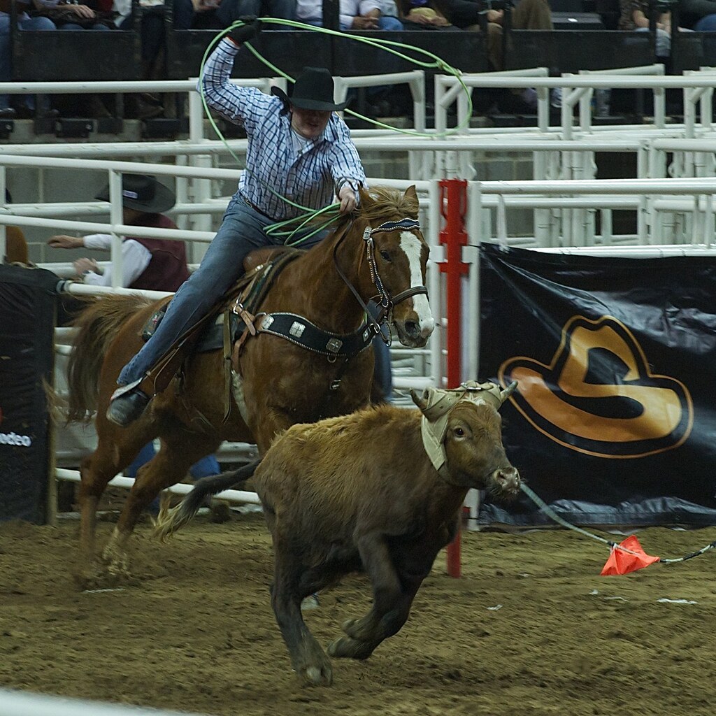 Photo of a rodeo