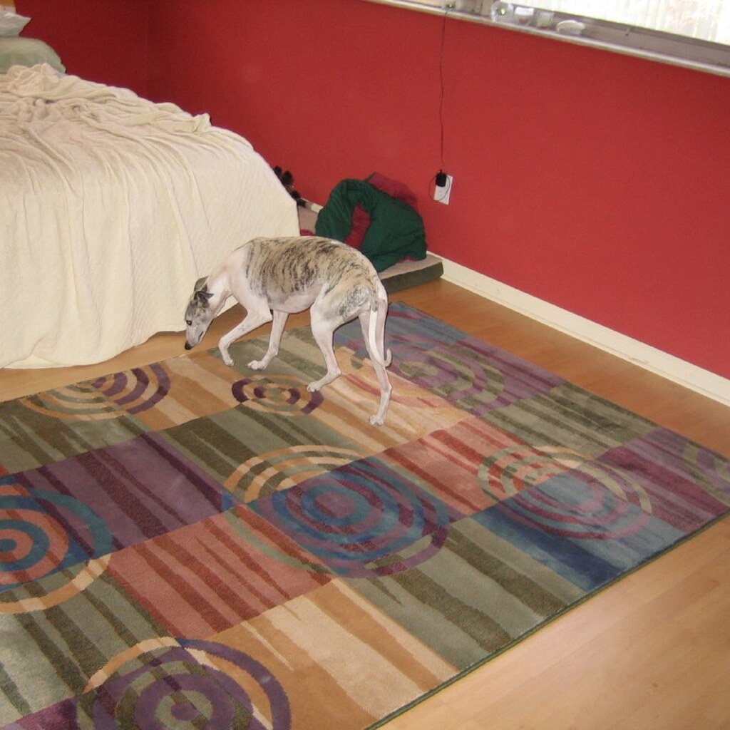 Photo of a rug