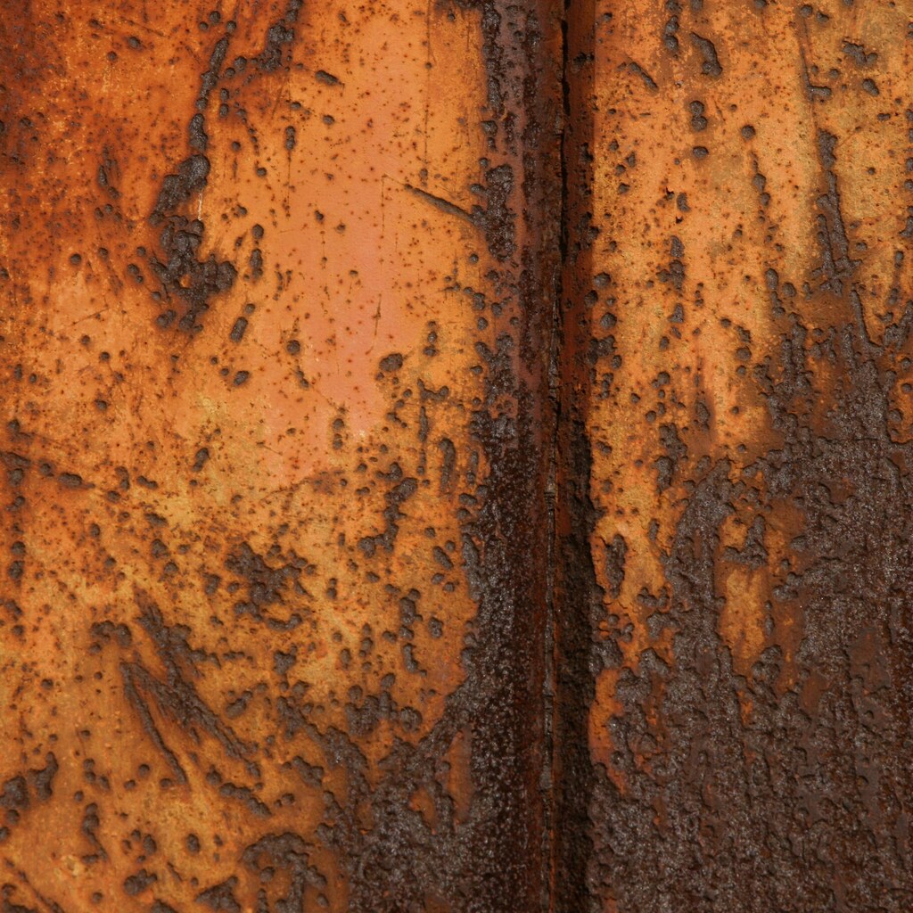 Photo of rust