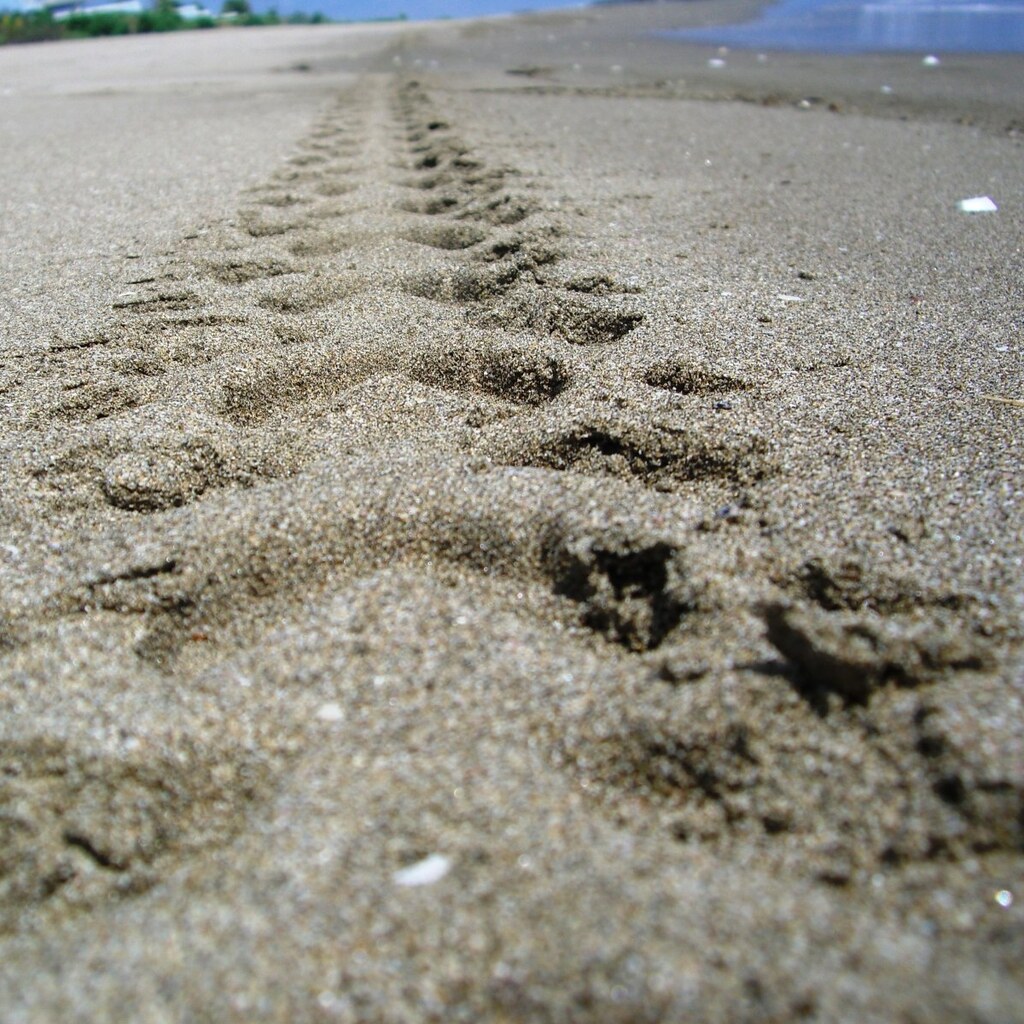 Photo of sand on a beach