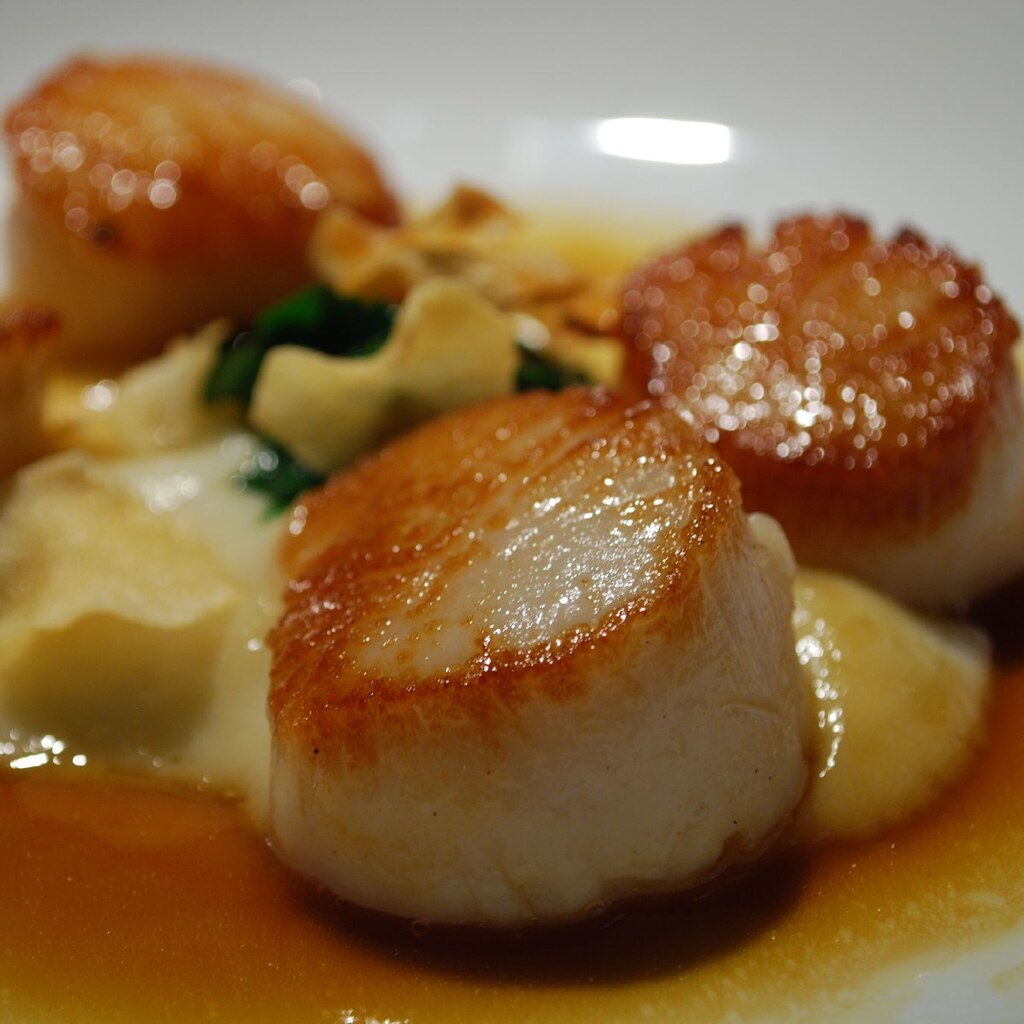 Photo of seared scallops.