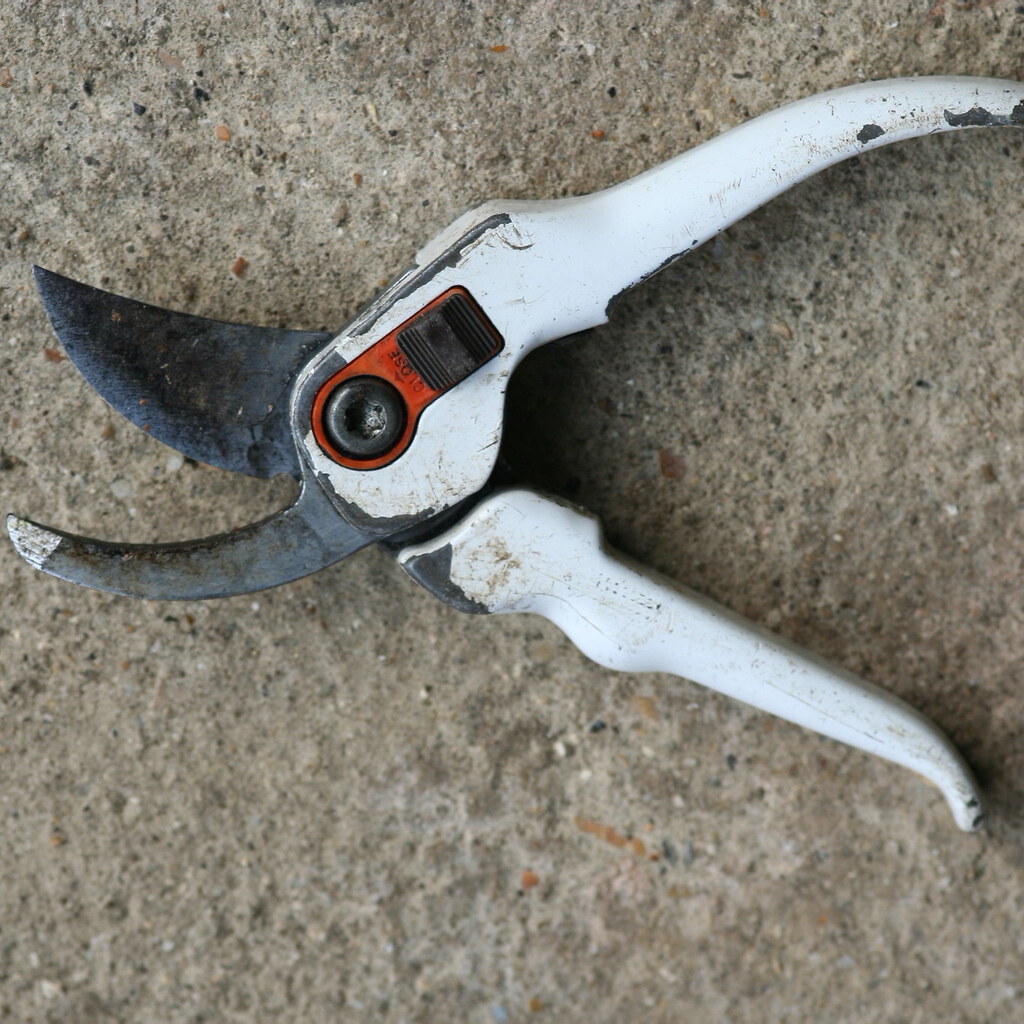 Photo of some old secateurs