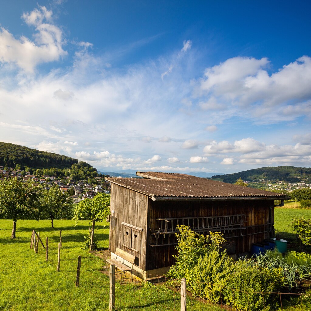 Photo of a shack