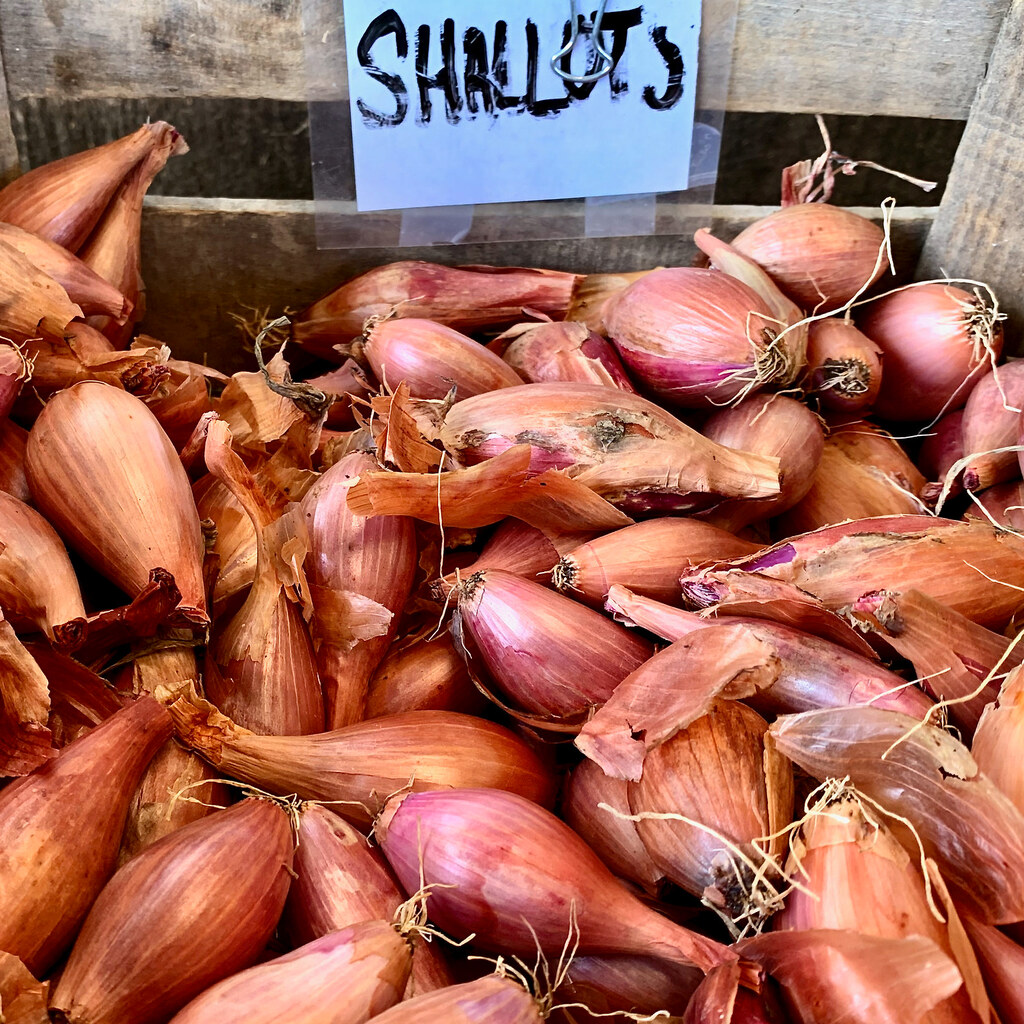 Photo of shallots
