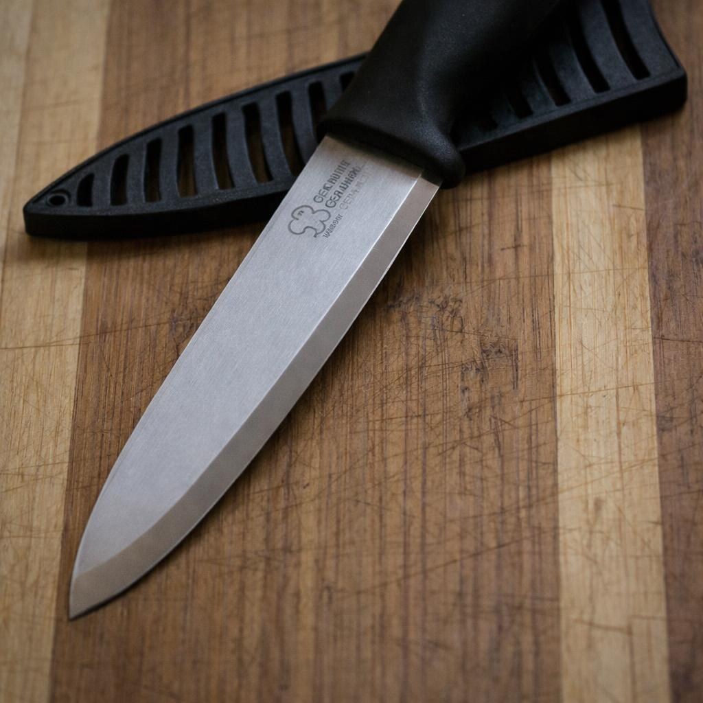 Photo of a knife and sheath