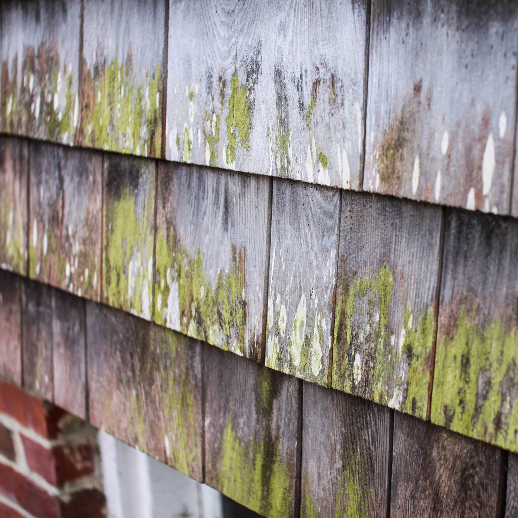 Photo of a shingled roof