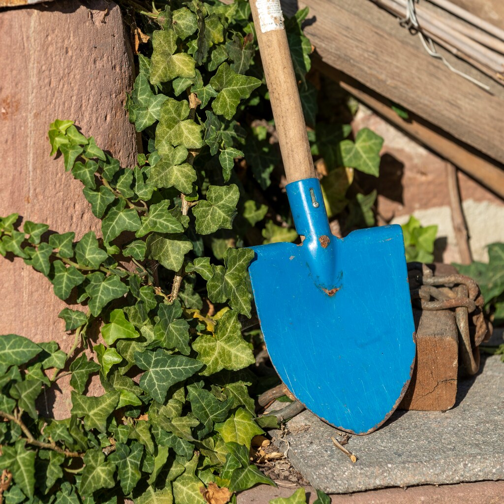 Photo of a shovel