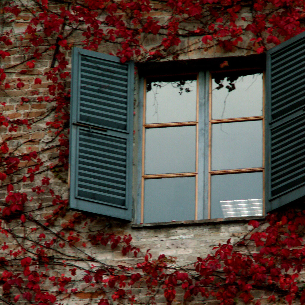 Photo of window shutters