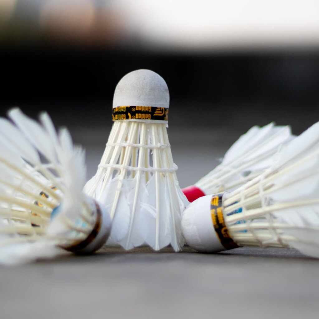 A photo of three badminton shuttlecocks on a court.