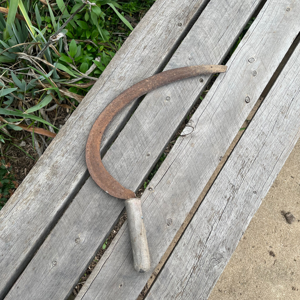 Photo of sickles
