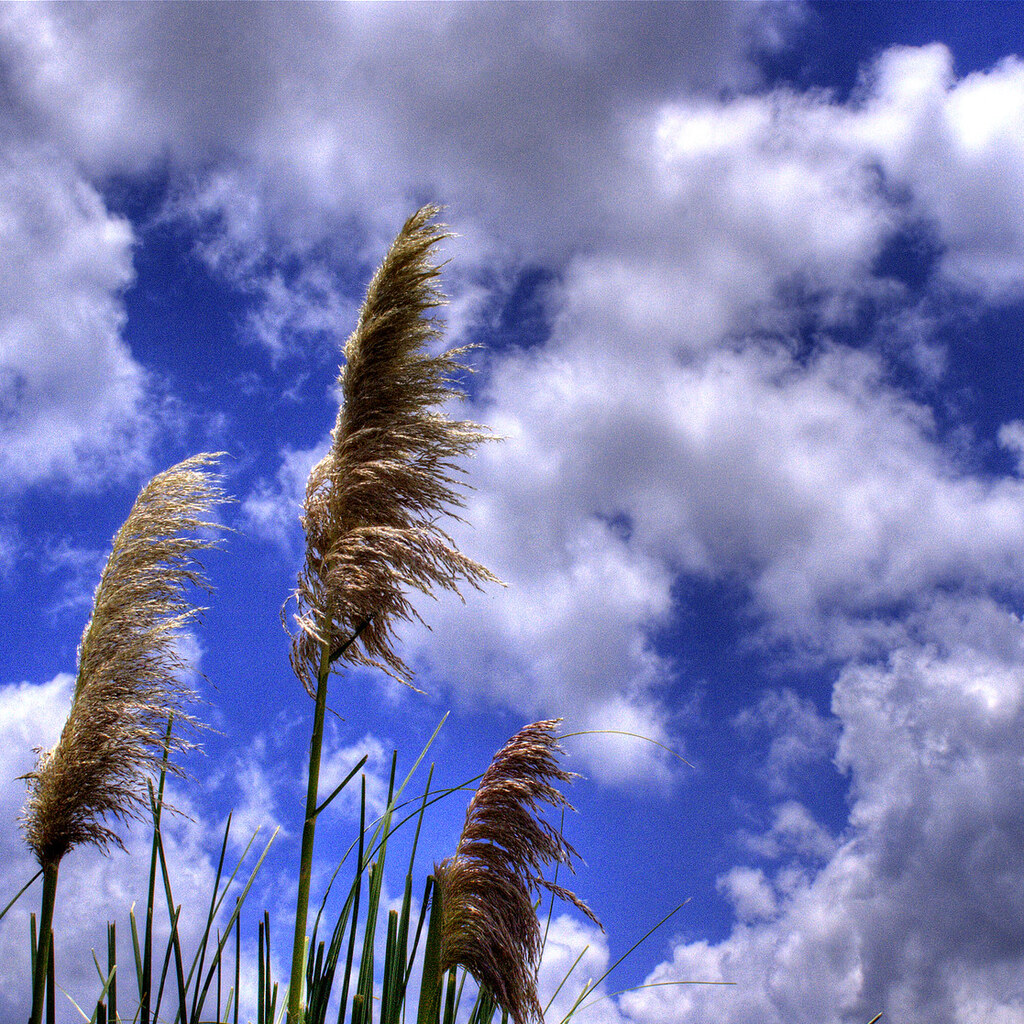 Photo of the sky