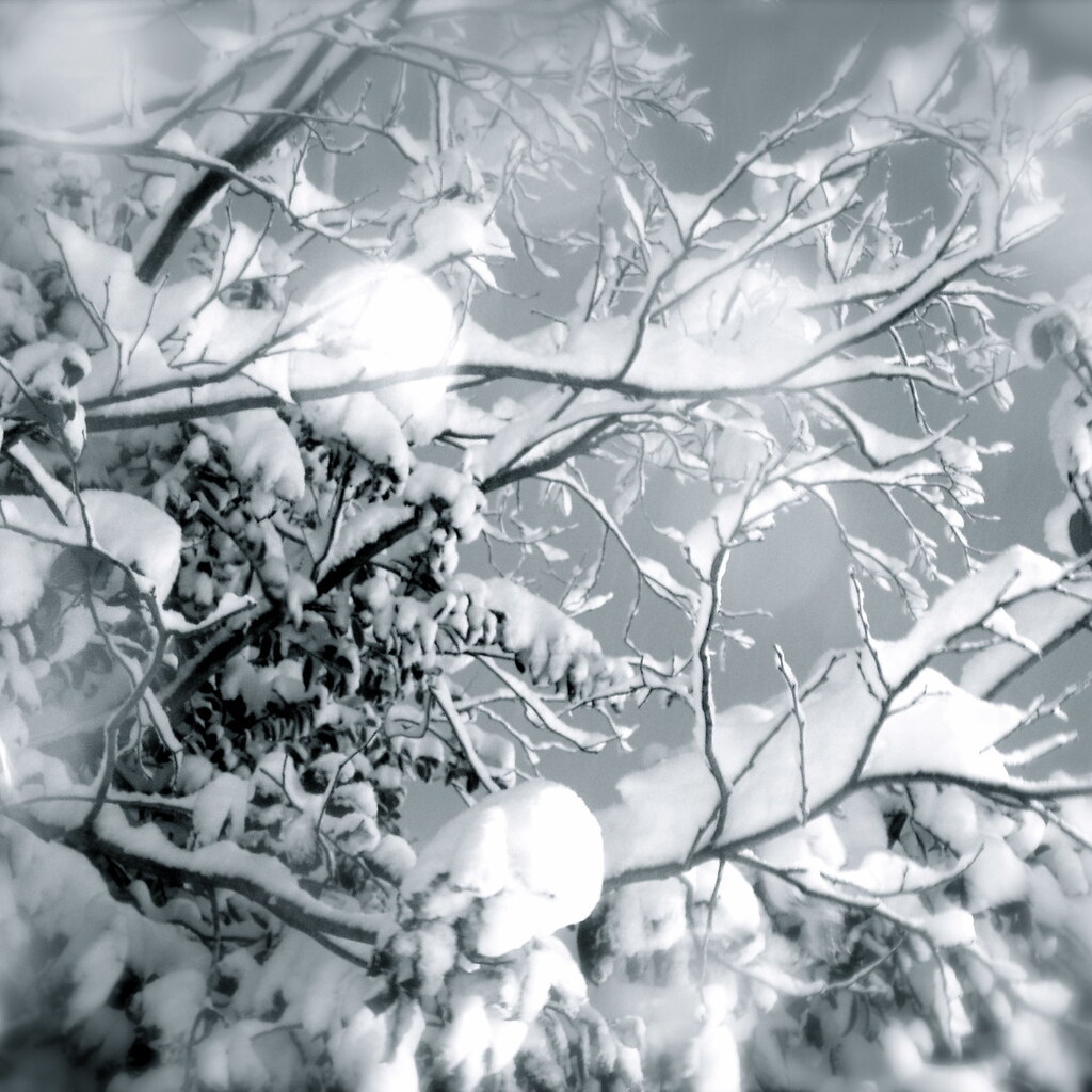 Photo of snow