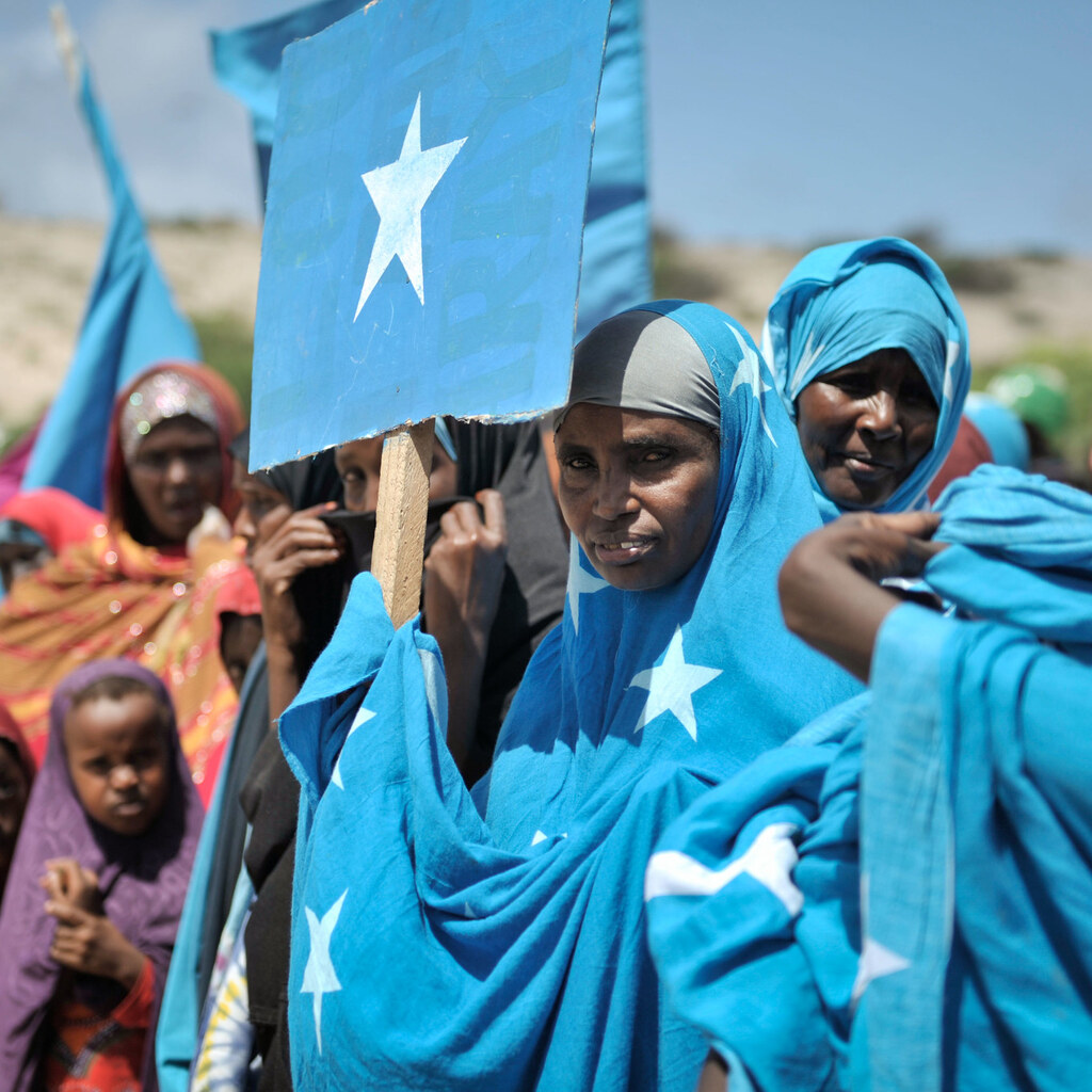 Photo of the Somali flag