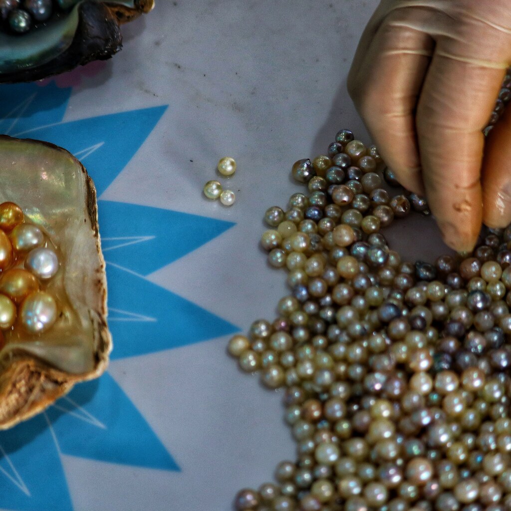Photo of someone sorting pearls