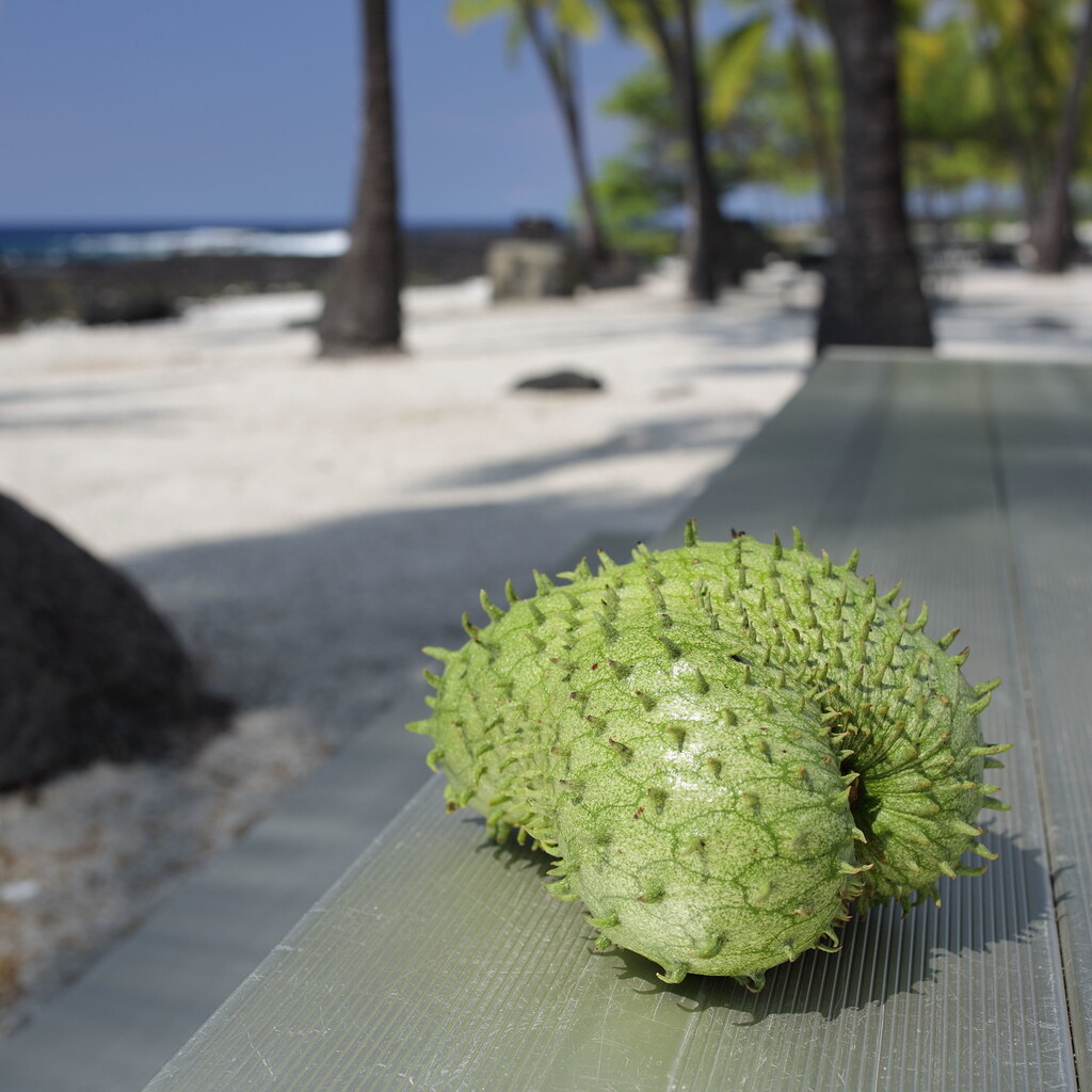 Photo of a soursop