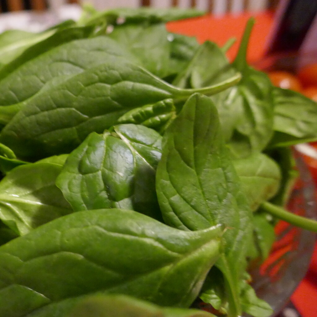 Photo of spinach