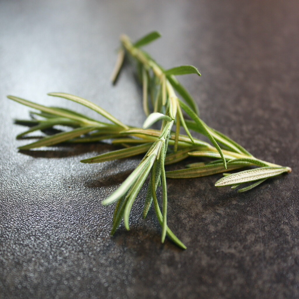 Photo of a sprig of rosemary