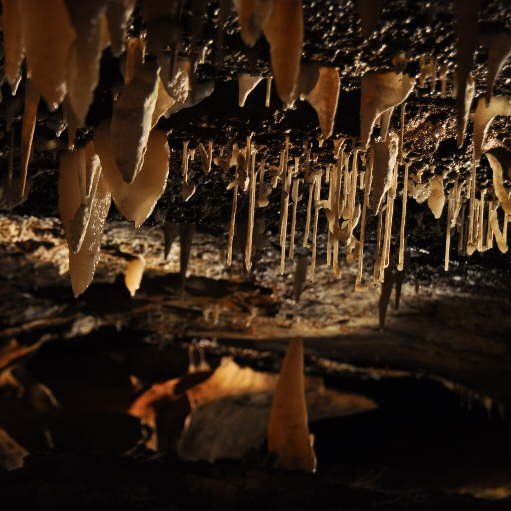 Photo of stalactites