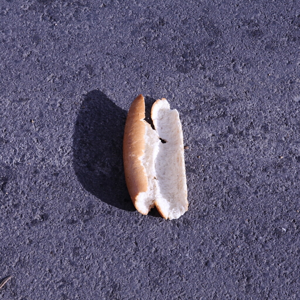 Photo of some stale bread