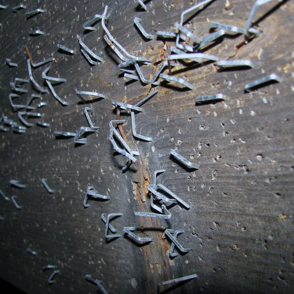 Photo of some staples