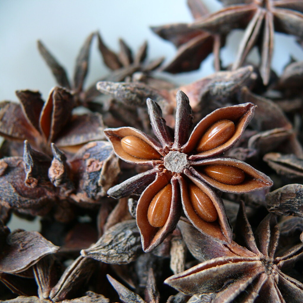 Photo of star anise seeds