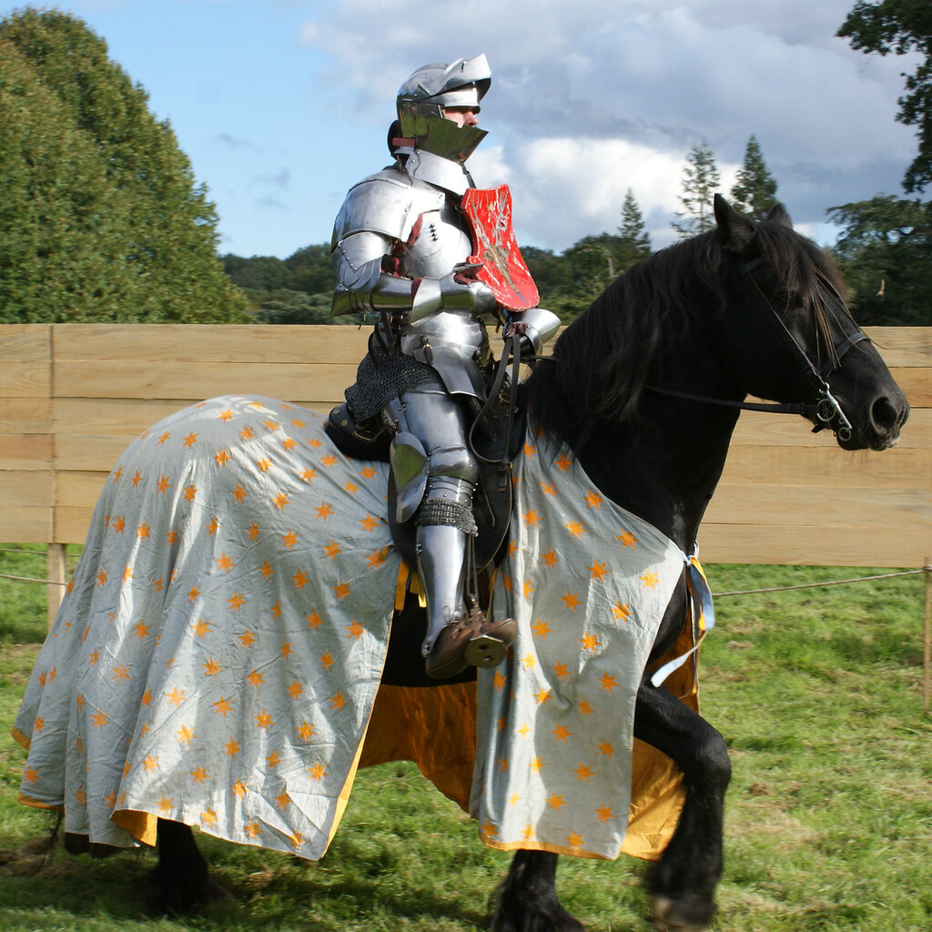 Photo of a knight on his steed
