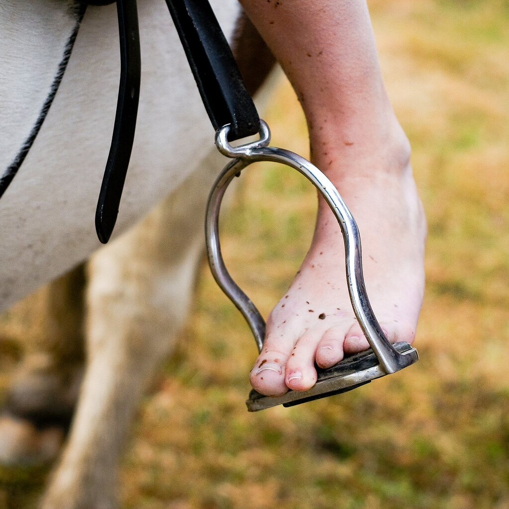 Photo of a stirrup
