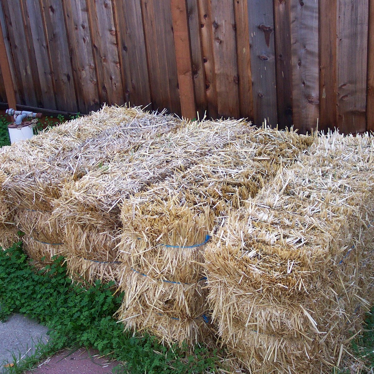 Photo of some straw bales