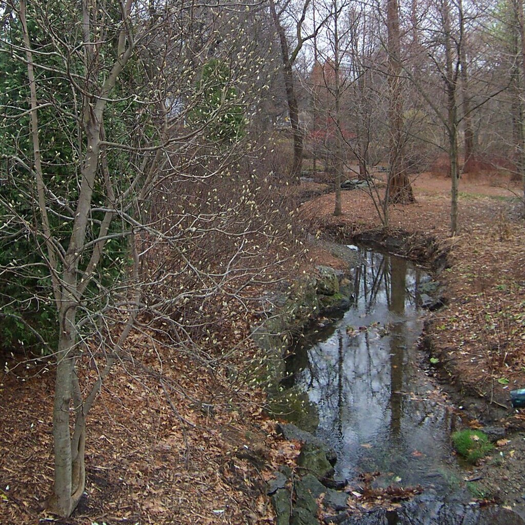 Photo of a stream