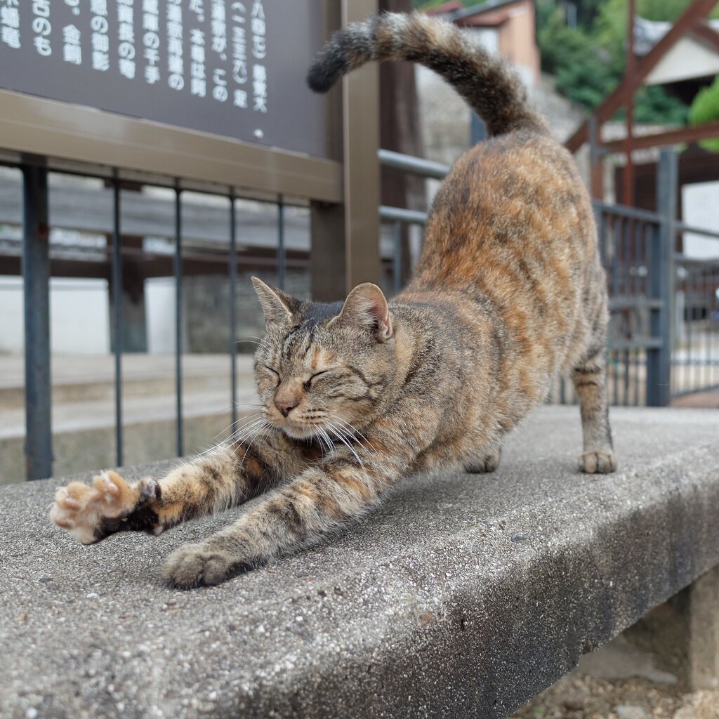 Photo of a girl stretching chewing gum