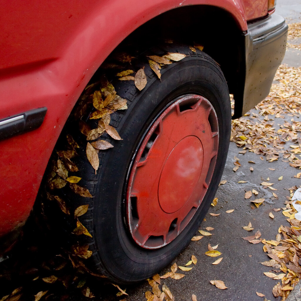 Photo of leaves stuck to a car tire