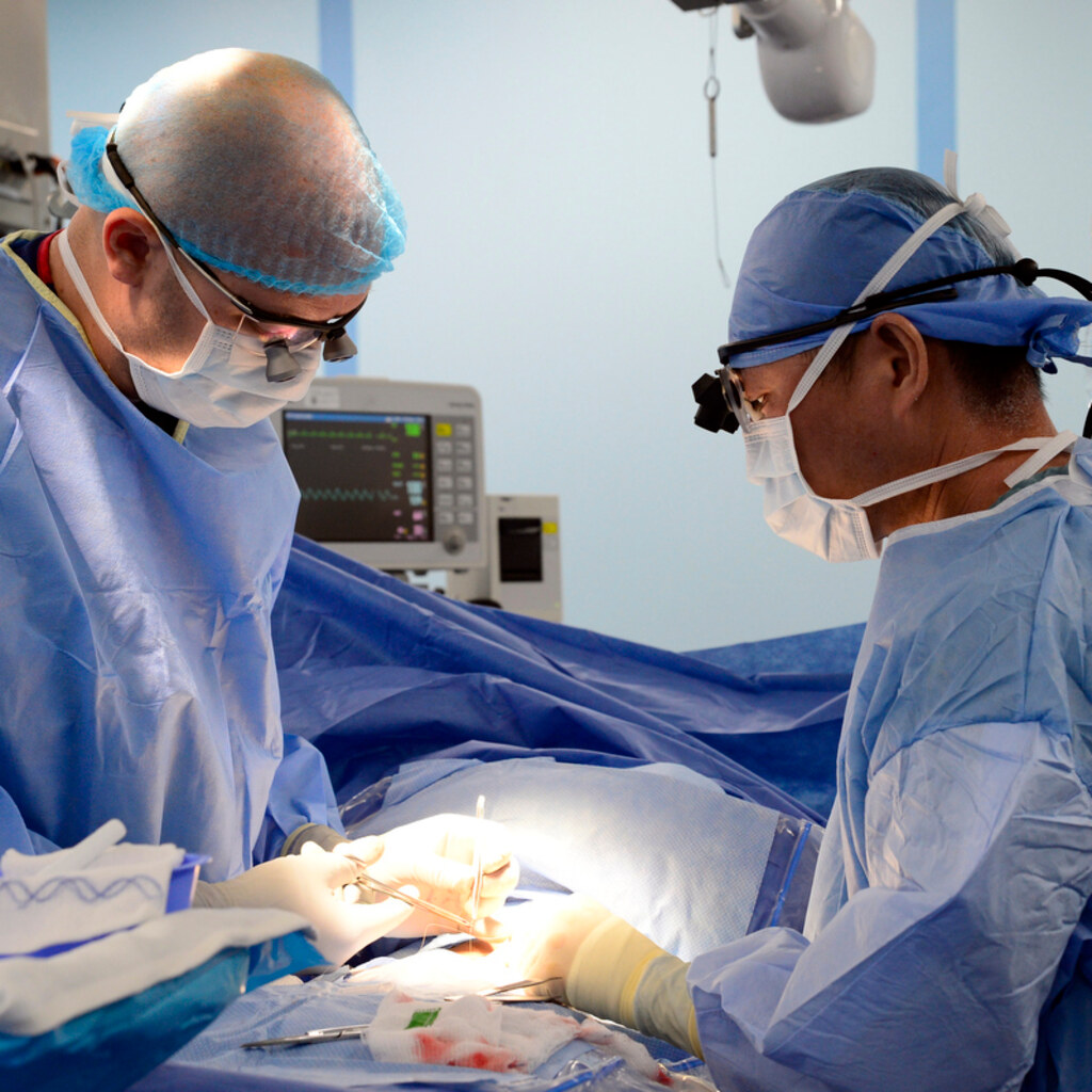 Photo of two surgeons performing surgery