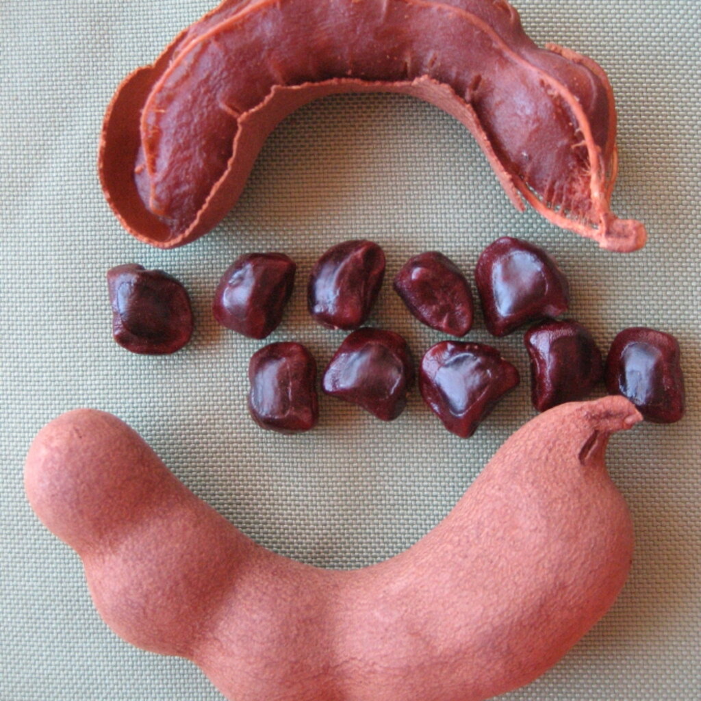 Photo of tamarinds