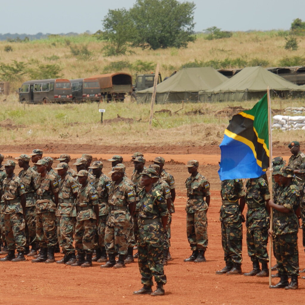 Photo of a Tanzanian flag