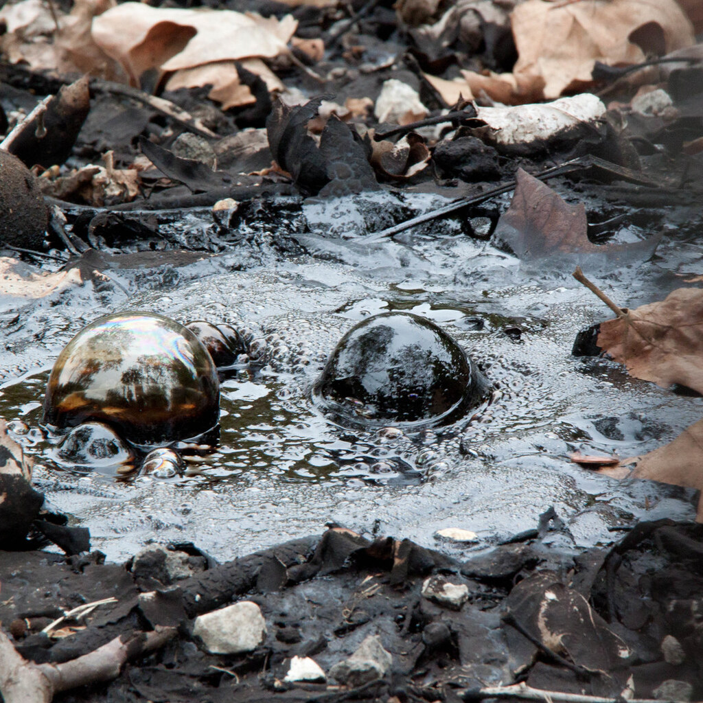 Photo of a tar pit