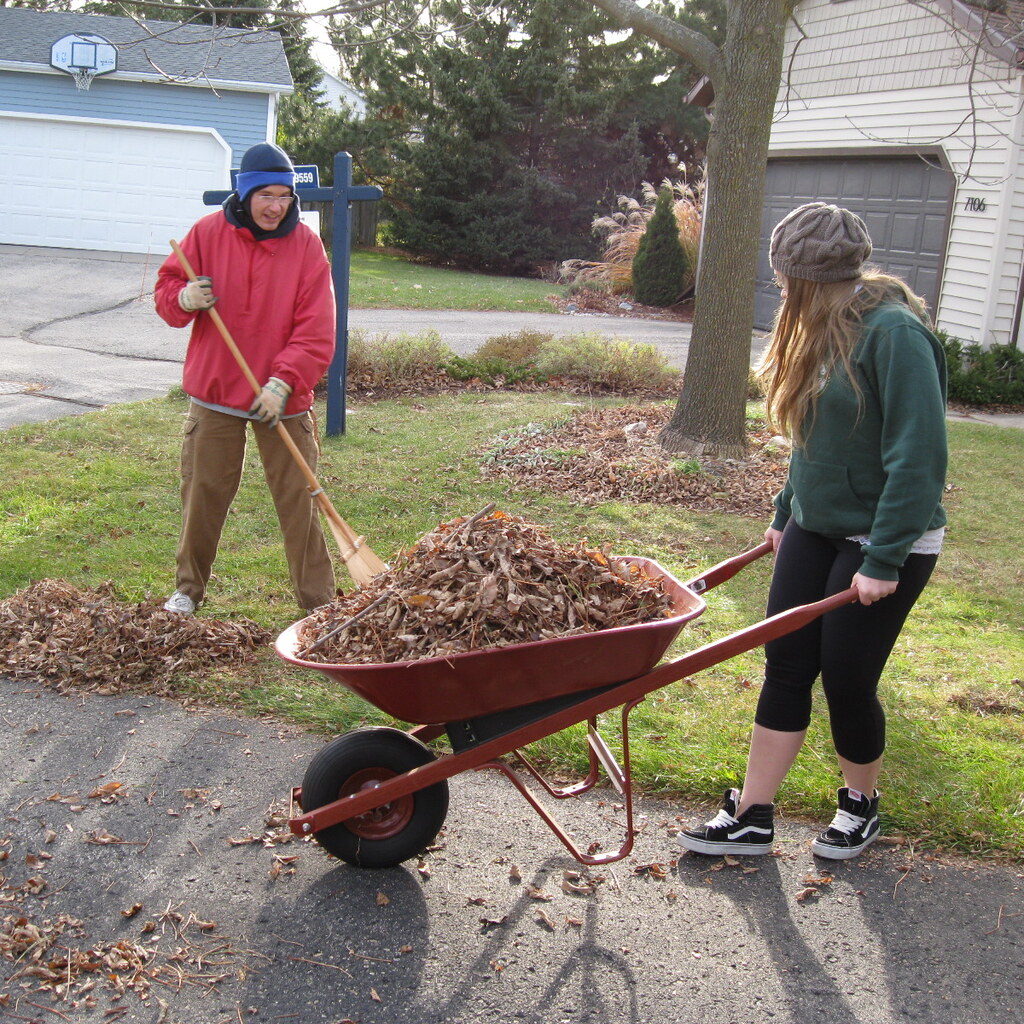 Photo of two people raking leaves