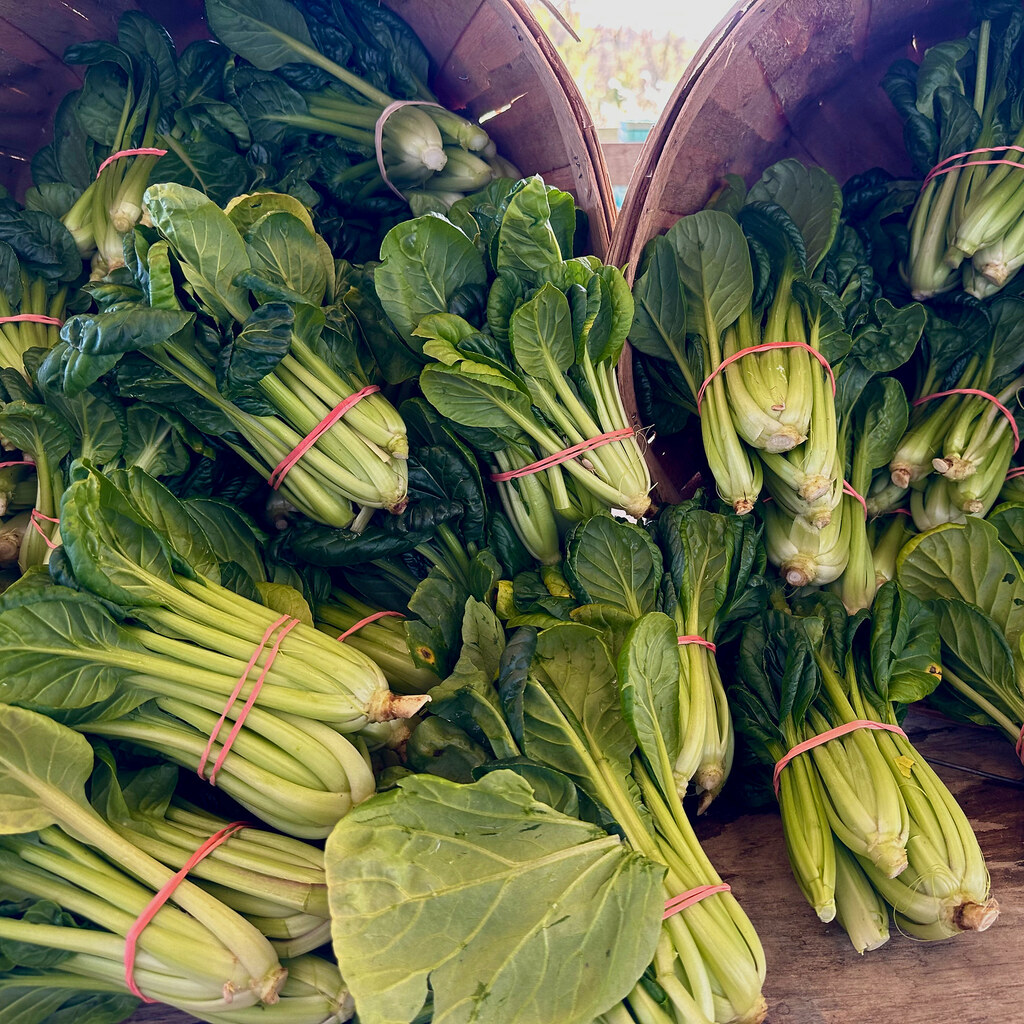 Photo of tatsoi