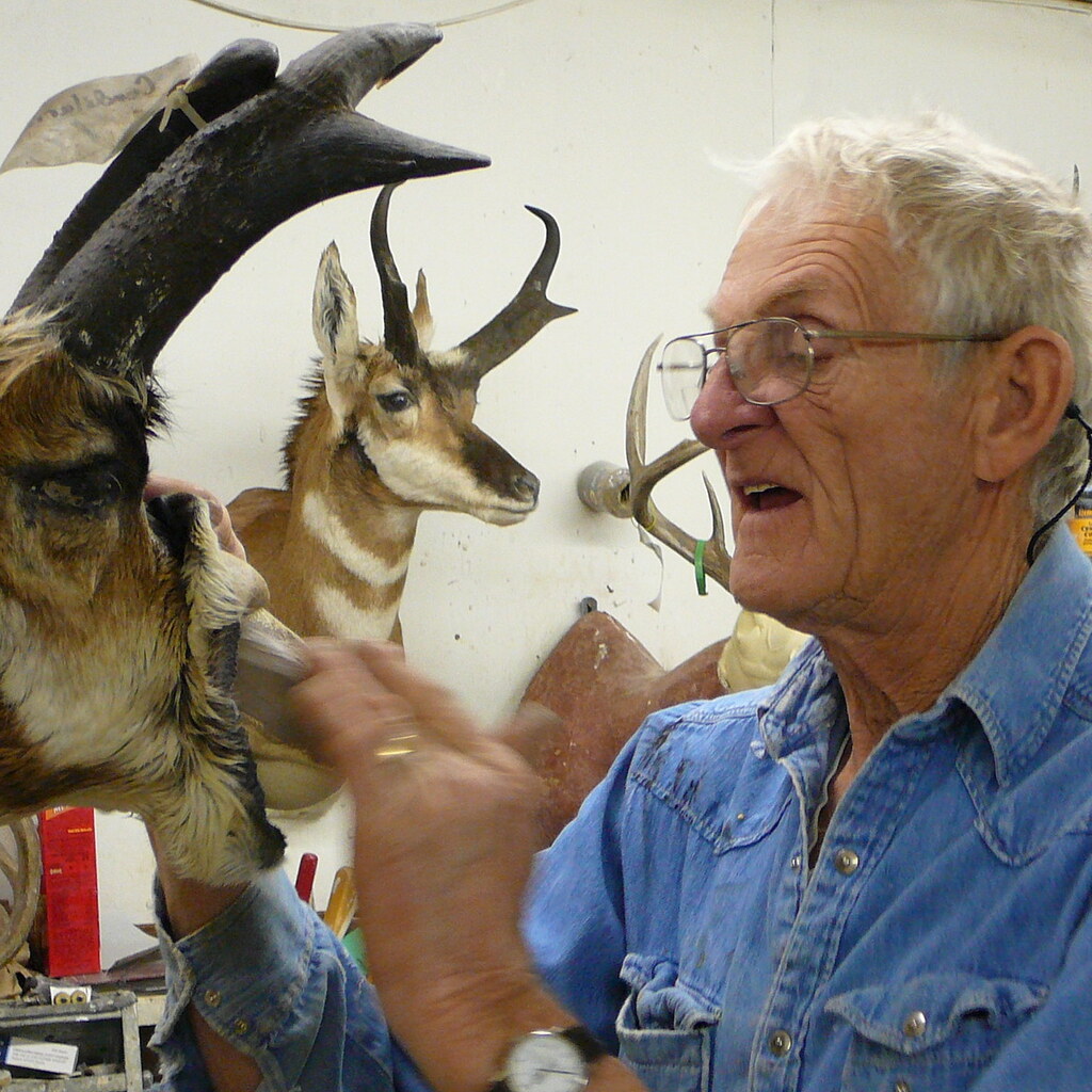 Photo of a taxidermist at work