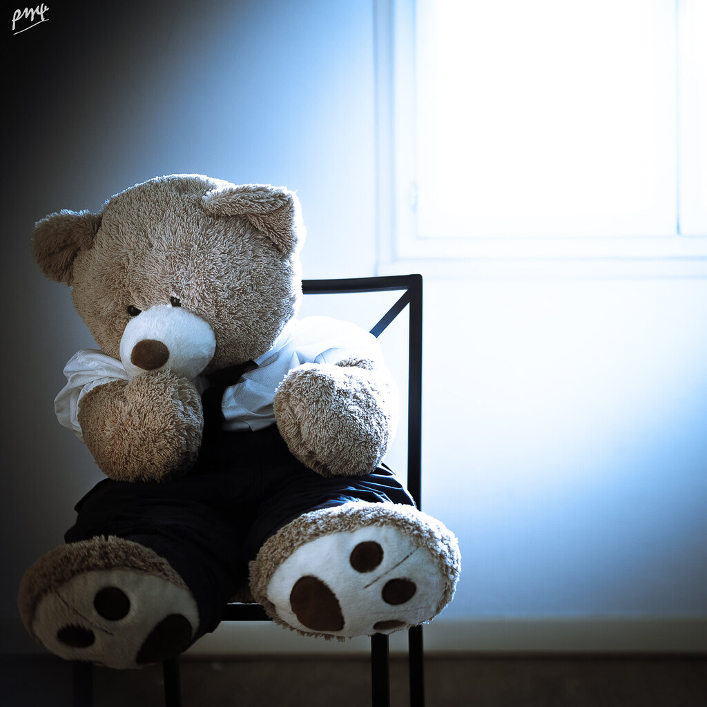 Photo of a teddy bear
