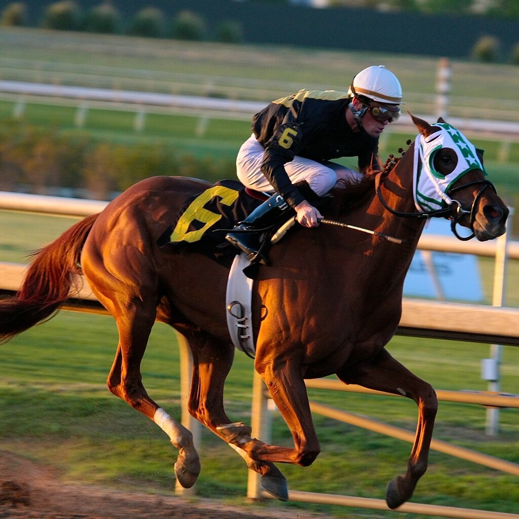 Photo of a racehorse.
