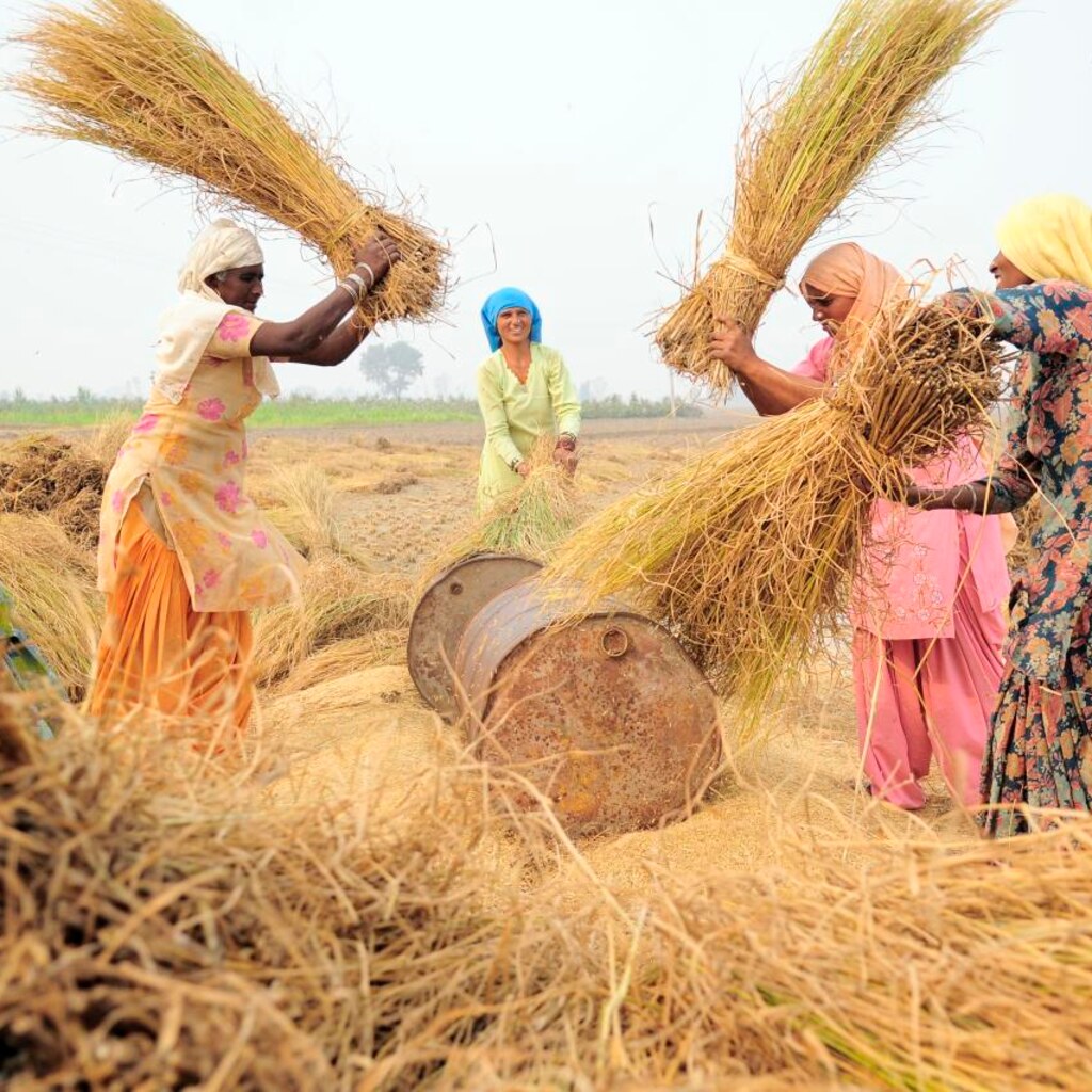 Photo of women threshing grain