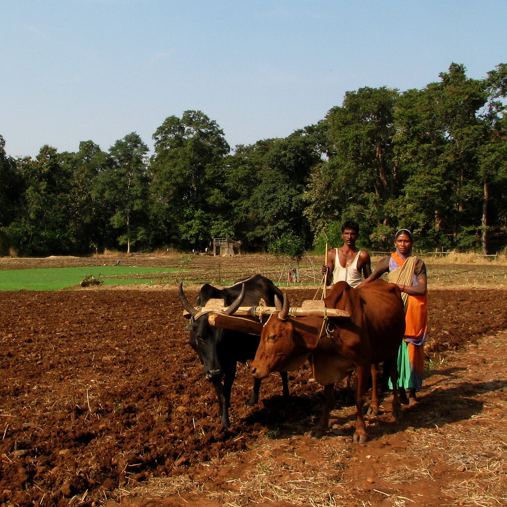 Photo of a family tilling their field