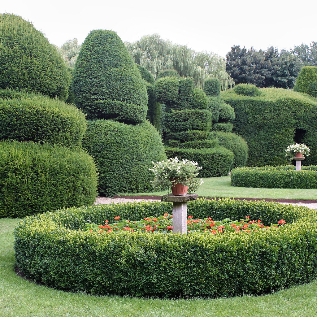 Photo of topiary