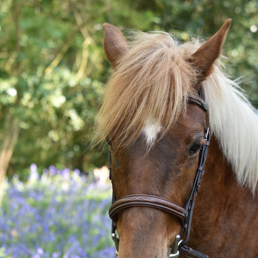 Photo of a man wearing a toupee