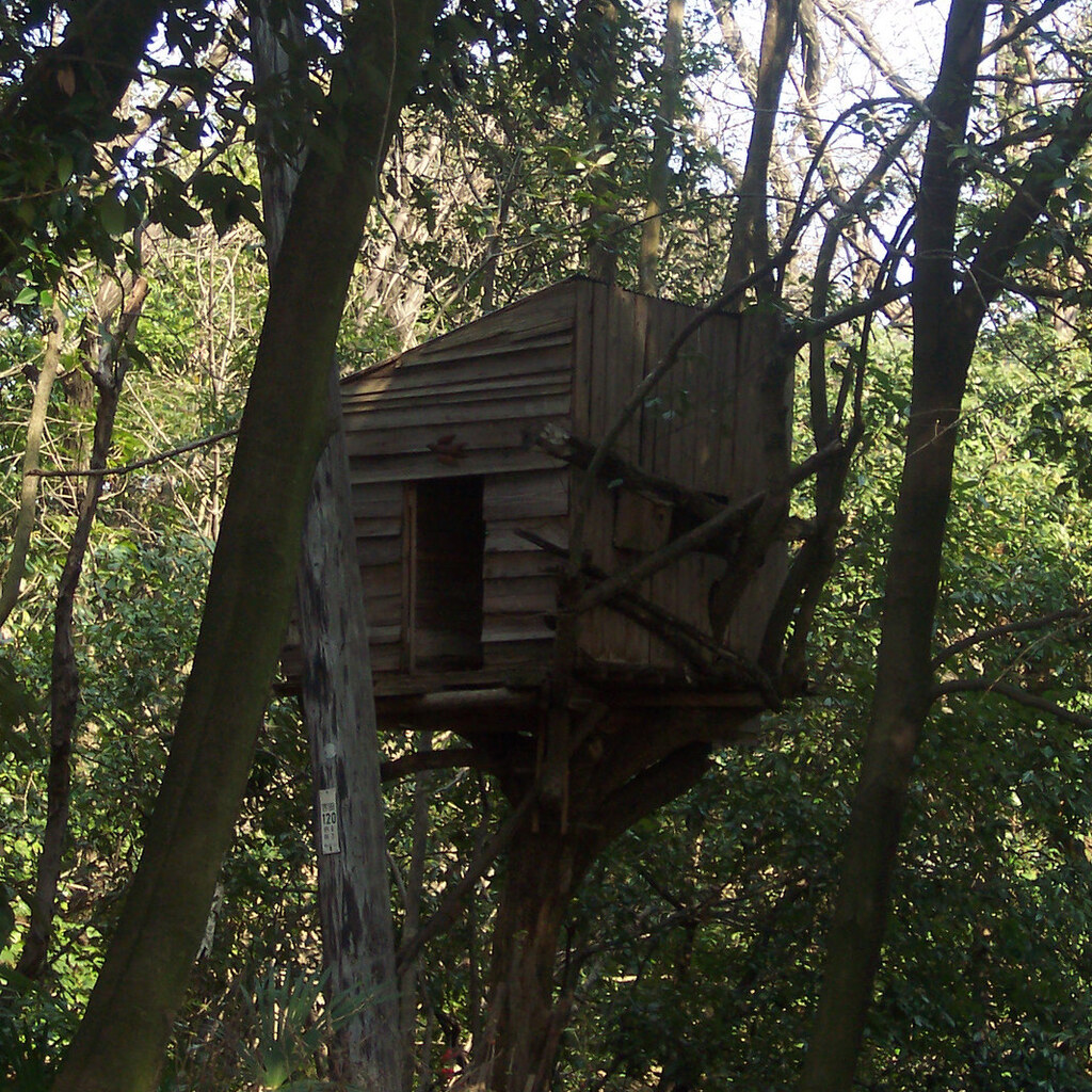 Photo of a treehouse