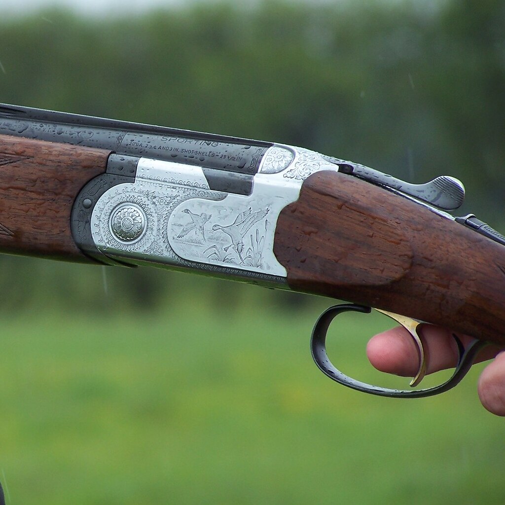 Photo of a trigger