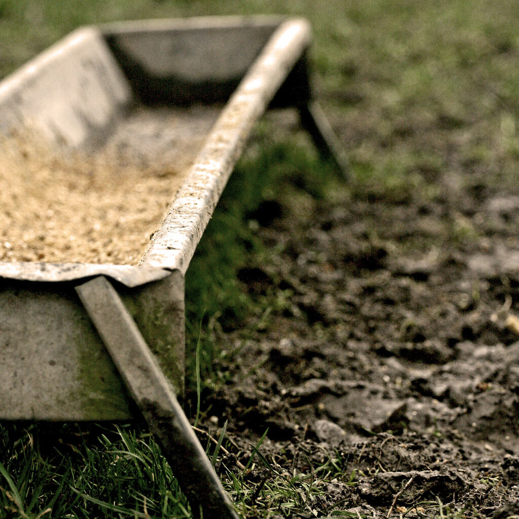 Photo of a trough